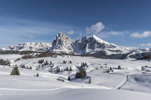 Region Dolomitów Seiser Alm