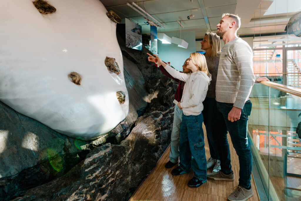 
20022024-MUSE-071-Modifica-Full-scaled.jpg
2025-12-04